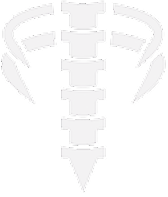 Illustration of a healthy spine