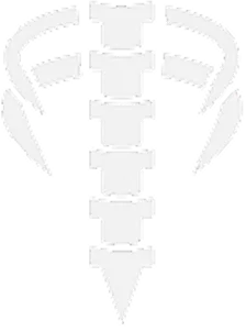 Illustration of a healthy spine